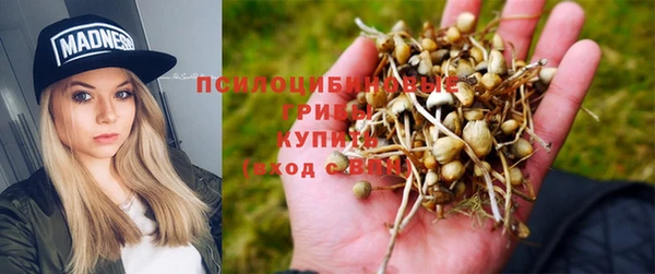 дурь Балабаново