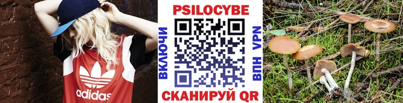 Псилоцибиновые грибы ЛСД  Первомайск 